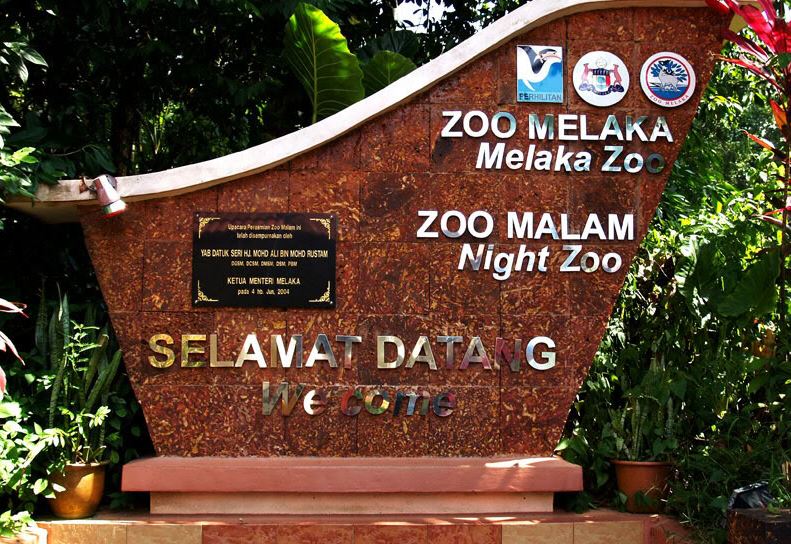 zoo melaka night safari review